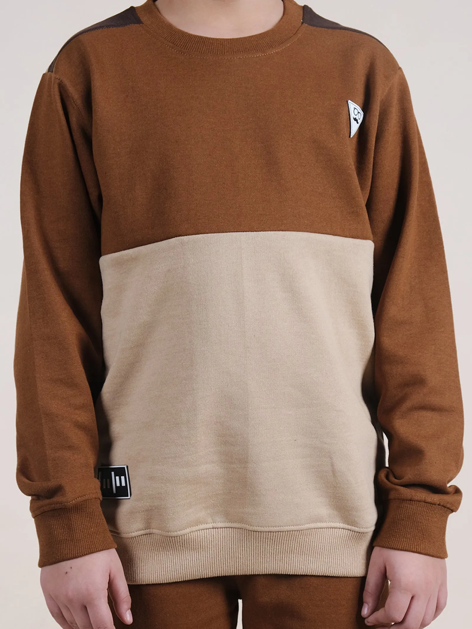 Fleece Full Sleeves Colour Block Cut & Sew Sweatshirt